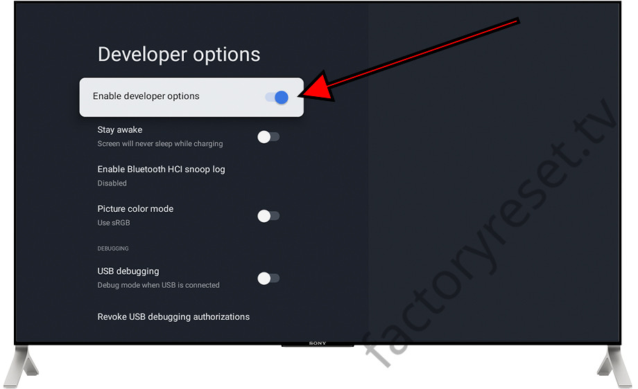 Developer options enabled Google TV