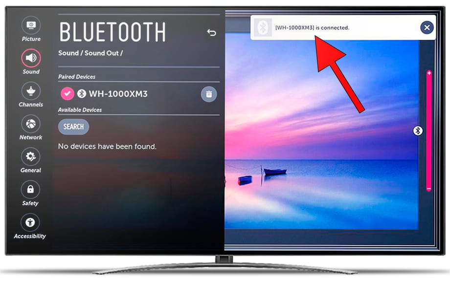 Bluetooth device connected LG TV