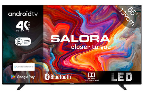 Connect to the Internet Salora SMART55TV